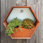 Susteelable wand plantenbak oranje met planten